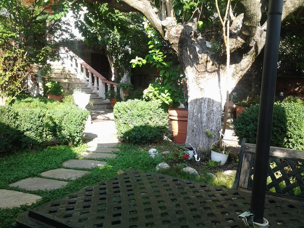 Sofia Rooms كالامباكا المظهر الخارجي الصورة